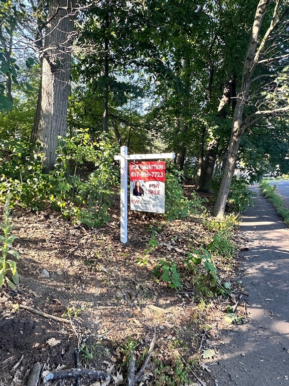 51 Lake Shore Rd