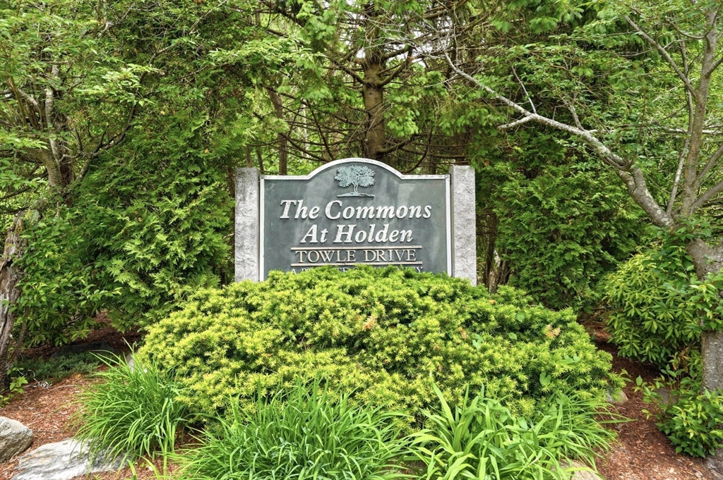 6 Towle Drive 6