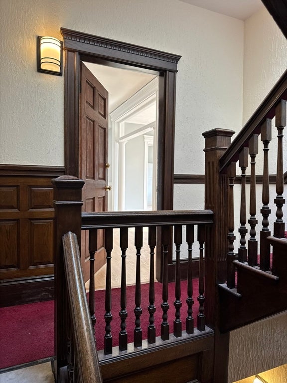 12 Kilsyth Road 3