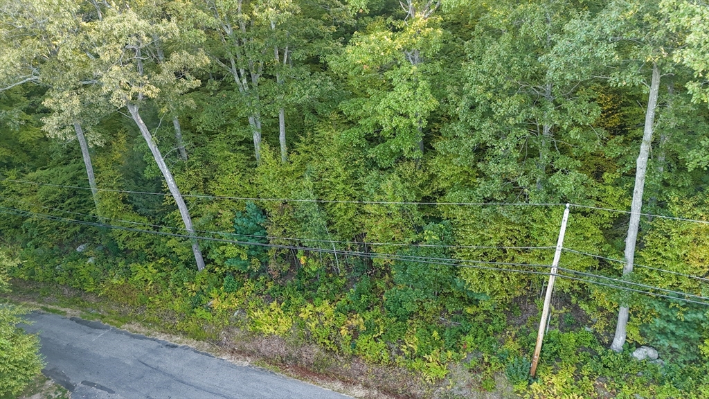 Monson, Massachusetts 01057, United States, ,Land,Active,214705