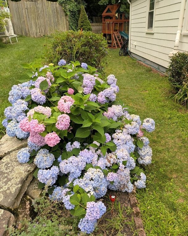 39 Fisher Street, Westwood, MA Photo #32