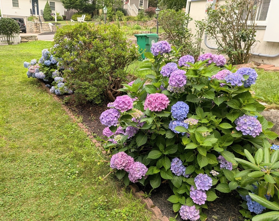 39 Fisher Street, Westwood, MA Photo #31