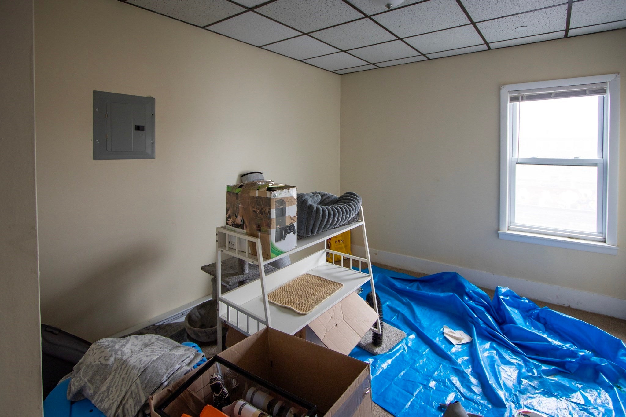 46 Millbury St, Worcester, MA, 46 Millbury St, Worcester, MA Photo #16