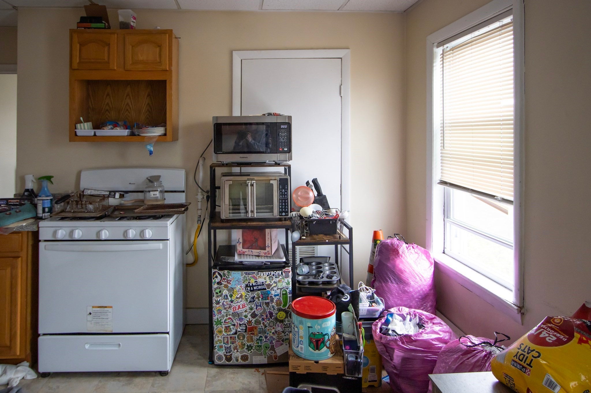 46 Millbury St, Worcester, MA, 46 Millbury St, Worcester, MA Photo #14