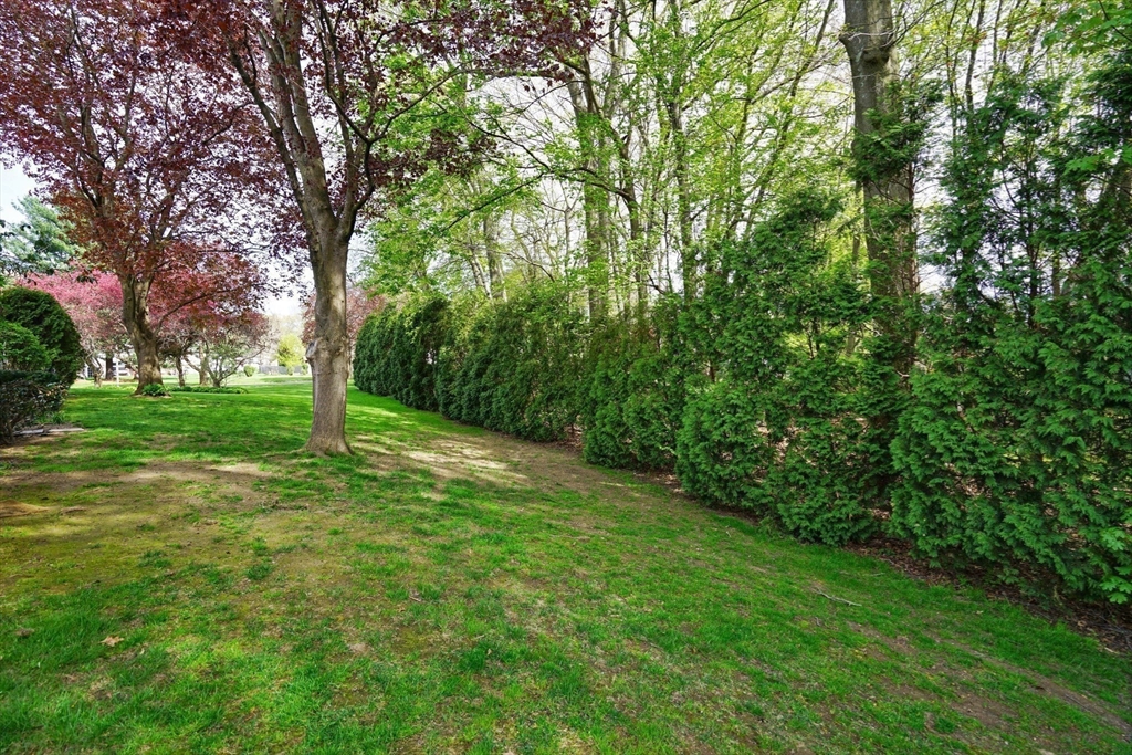 7 Plantation Dr 7
