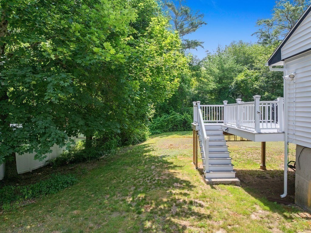 223 Birch