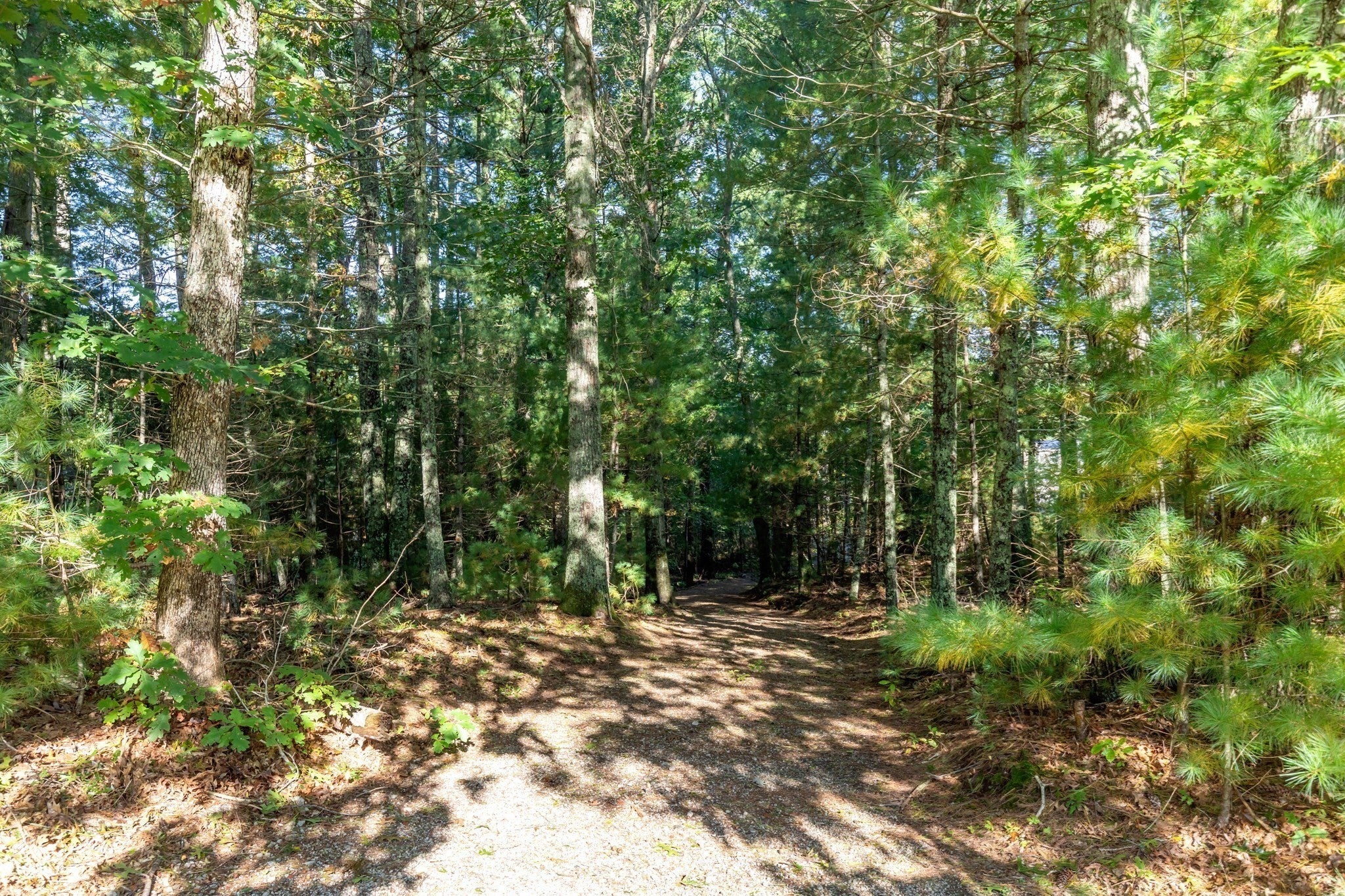 28 Spring St, Plympton, MA, 28 Spring St, Plympton, MA Photo #15