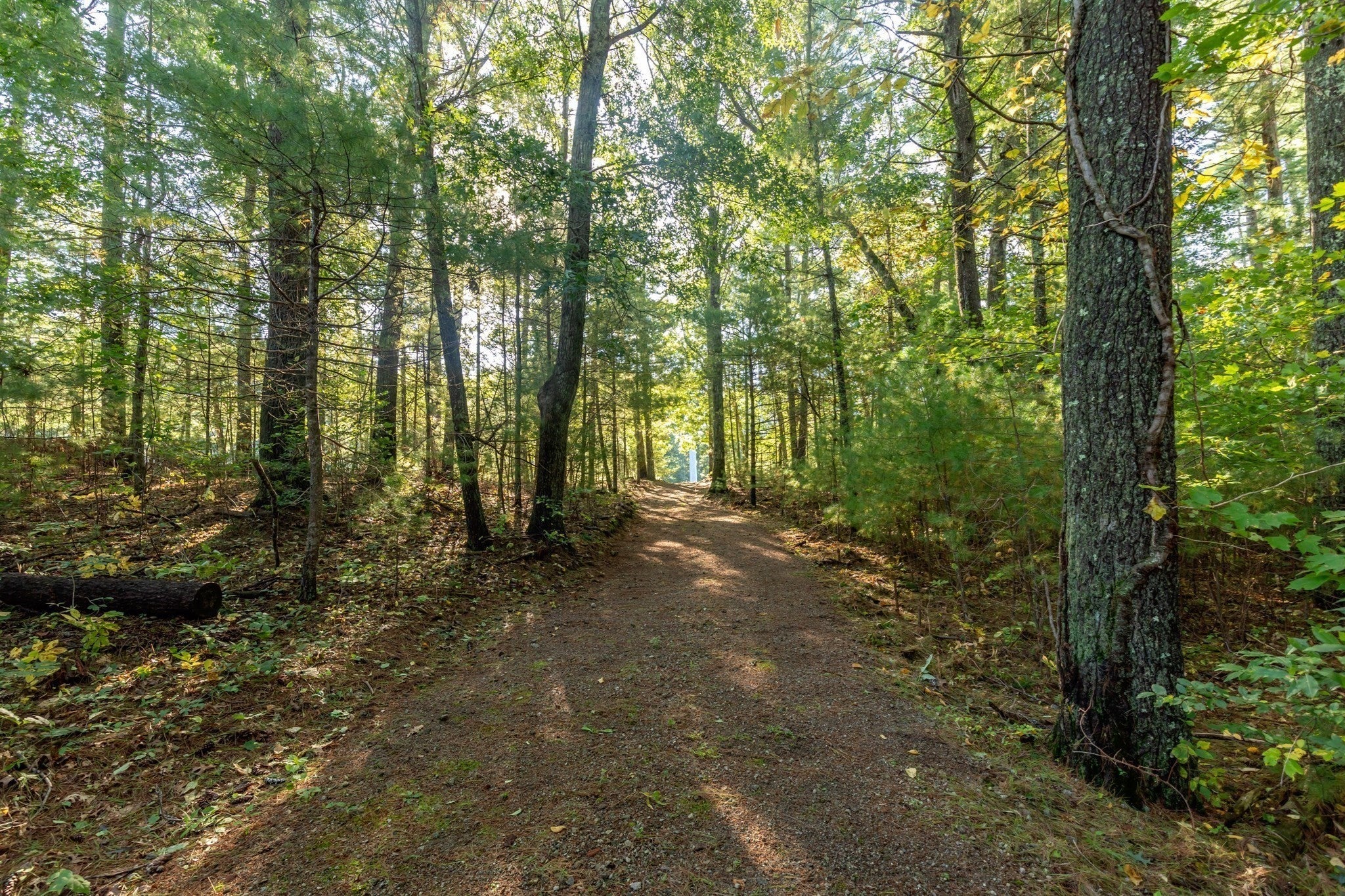 28 Spring St, Plympton, MA, 28 Spring St, Plympton, MA Photo #12