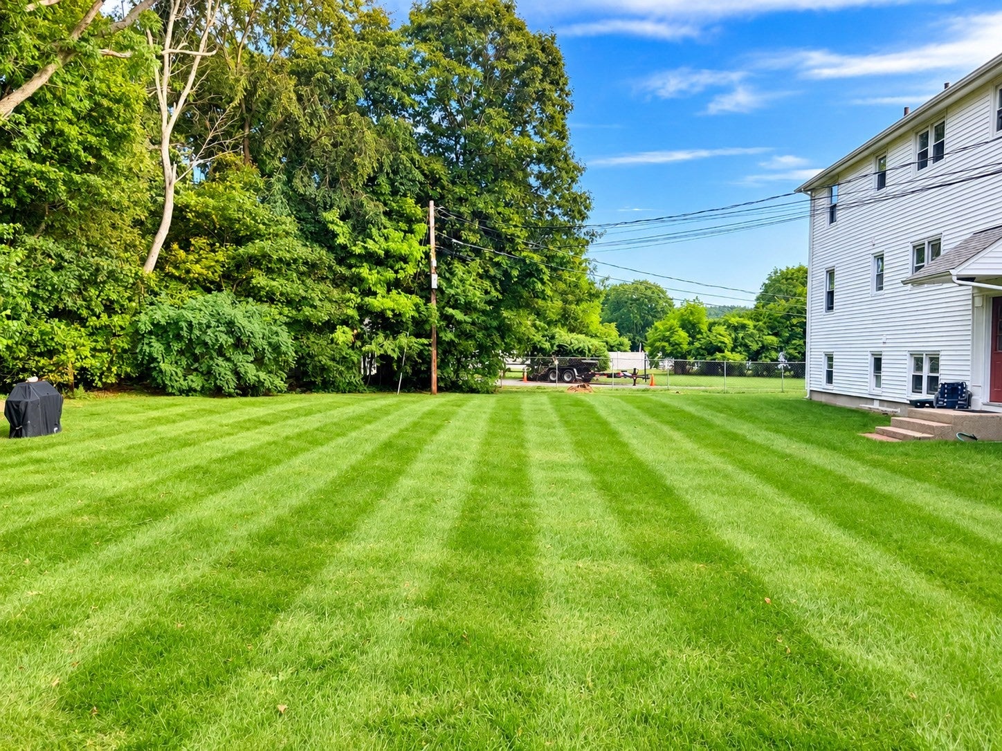 91 Elm St 1A