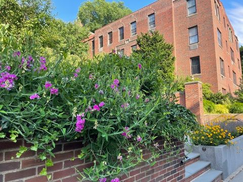 Photo of 311 Tappan Street #1, Brookline, MA 02445 (MLS # 73503312)