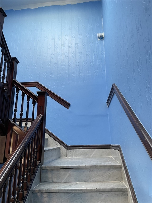 3 Alton PL #2, Brookline, MA Photo #38