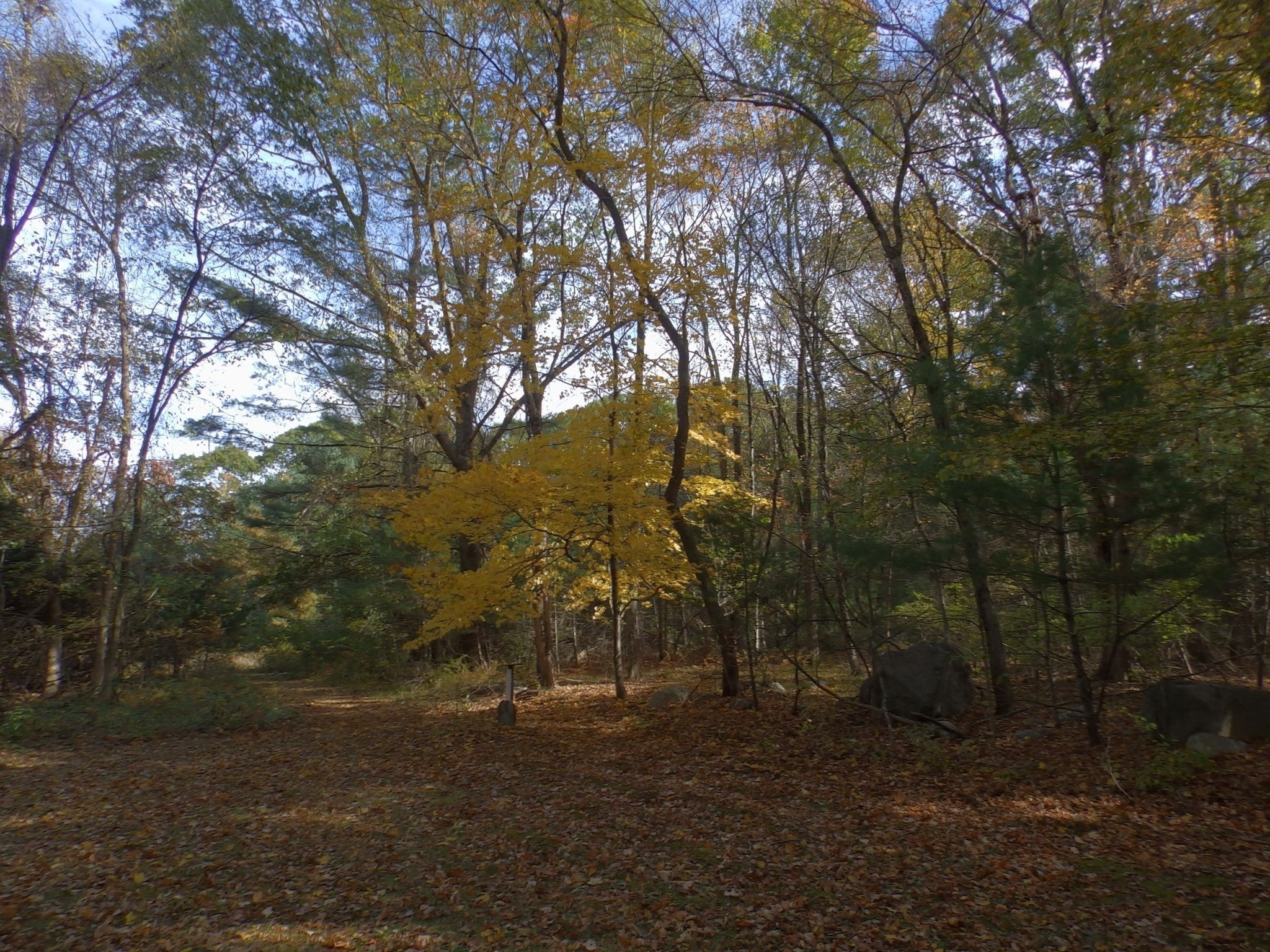 474 Pike Ave, Attleboro, MA, 474 Pike Ave, Attleboro, MA Photo #26