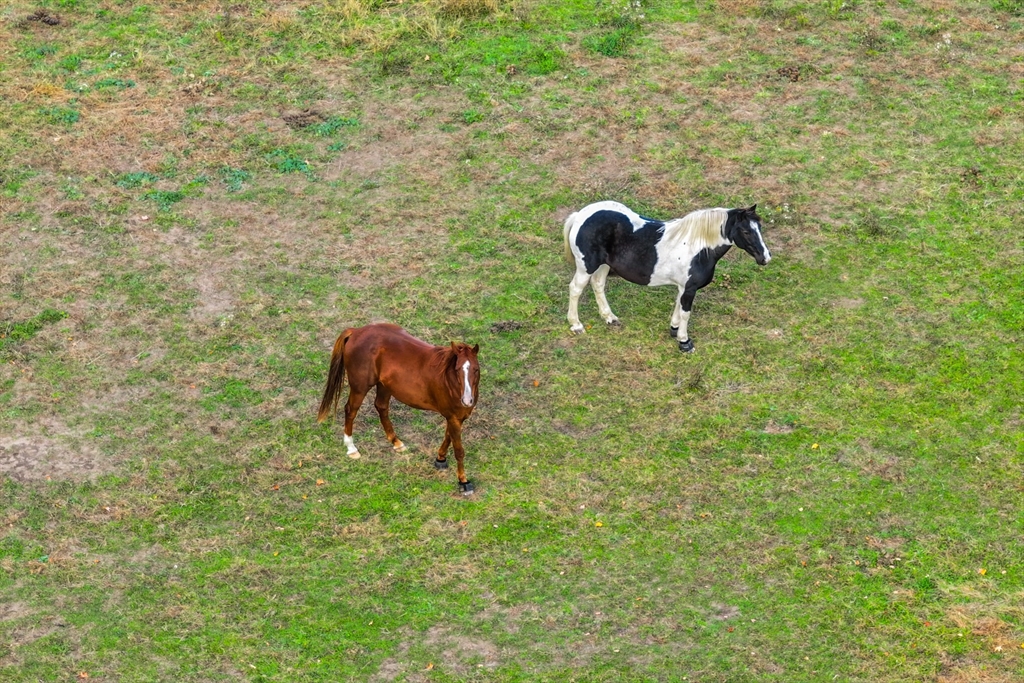 Rochester, Massachusetts 02770, United States, ,Land,Pending,22178