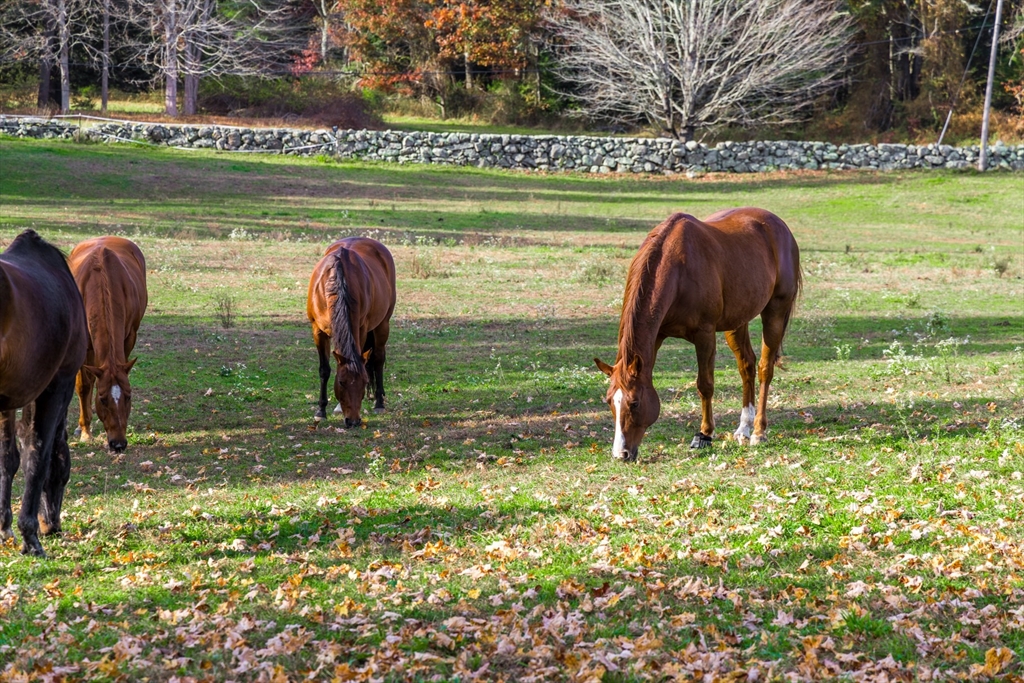 Rochester, Massachusetts 02770, United States, ,Land,Pending,22178