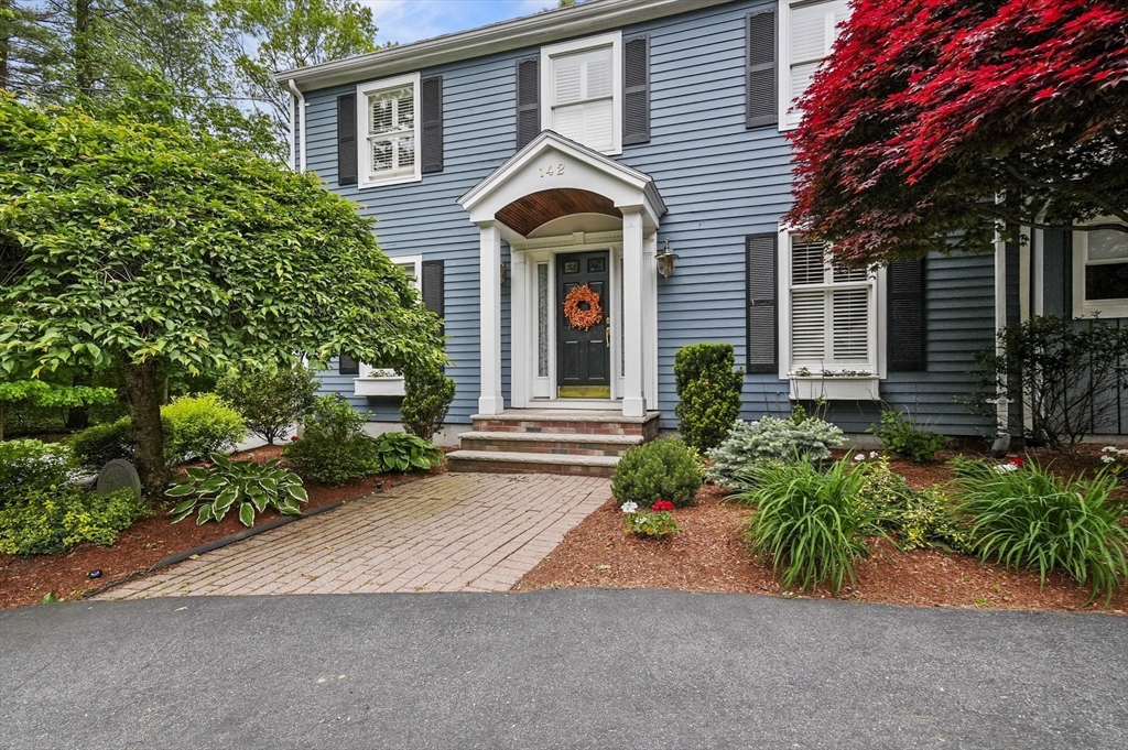 142 Montrose Avenue