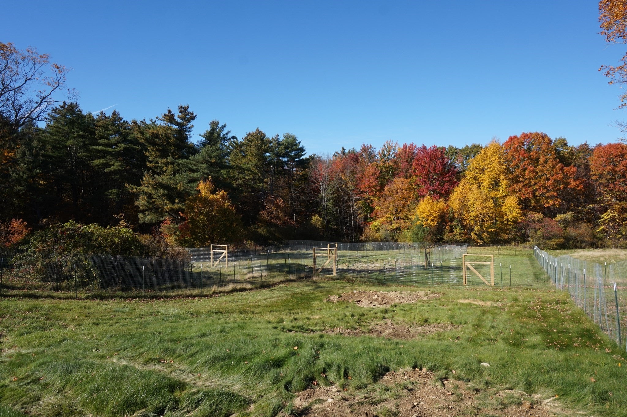 123 Willard Rd, Ashburnham, MA, 123 Willard Rd, Ashburnham, MA Photo #7