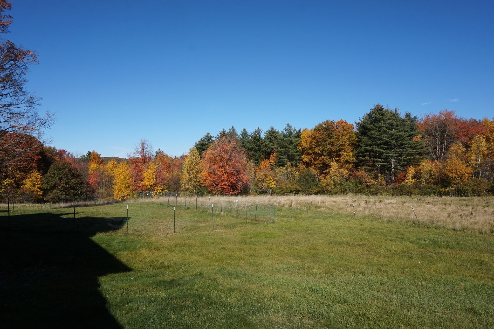 123 Willard Rd, Ashburnham, MA, 123 Willard Rd, Ashburnham, MA Photo #6