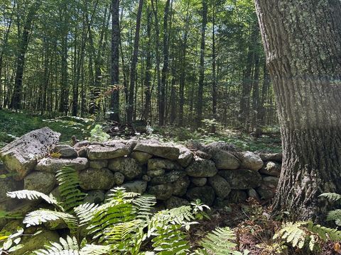 0 Nichewaug Rd Petersham MA 01366