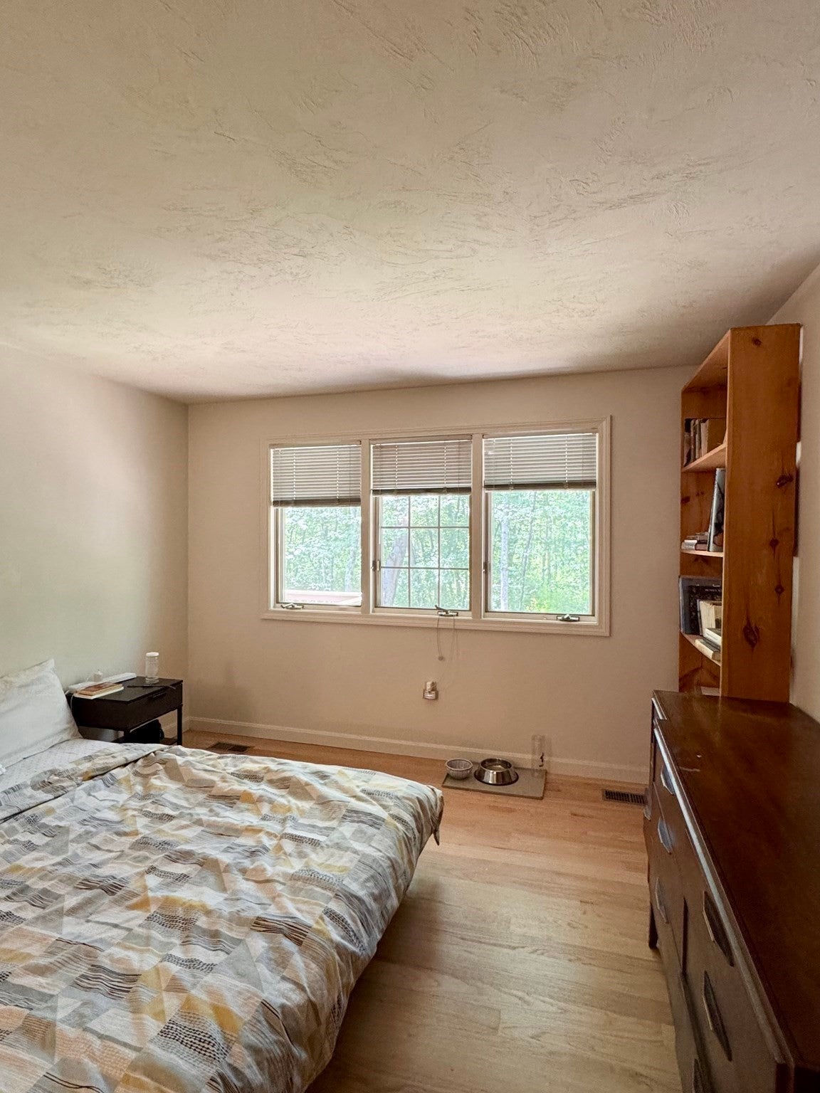 12 Birchwood Lane #12, Hopkinton, MA Photo #15