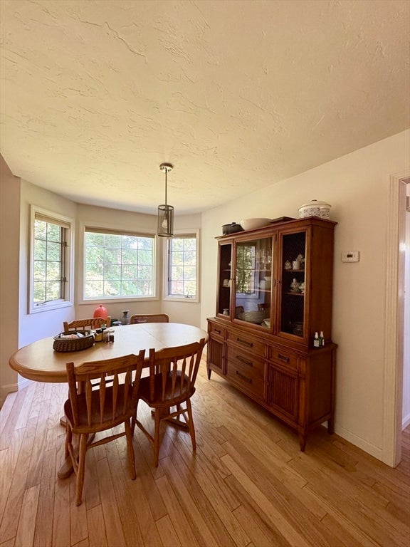 12 Birchwood Lane #12, Hopkinton, MA, 12 Birchwood Lane #12, Hopkinton, MA Photo #11