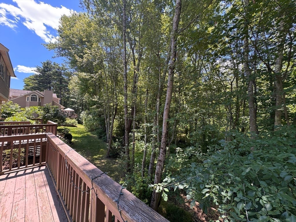 12 Birchwood Lane #12, Hopkinton, MA, 12 Birchwood Lane #12, Hopkinton, MA Photo #28