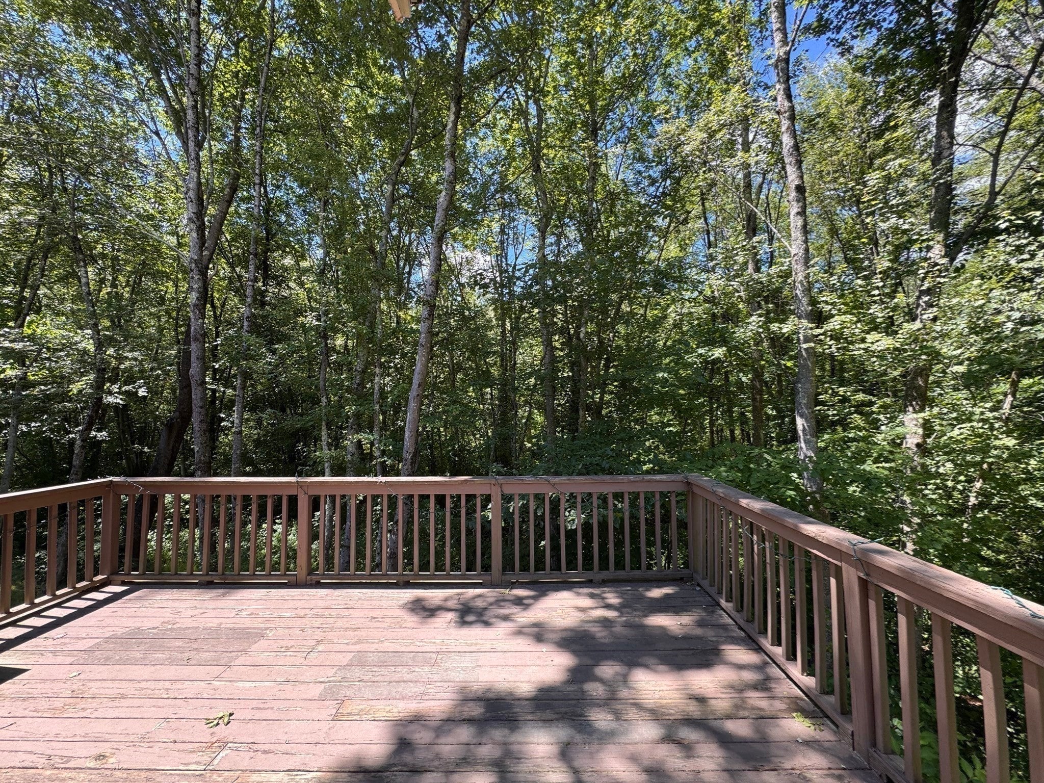 12 Birchwood Lane #12, Hopkinton, MA Photo #27