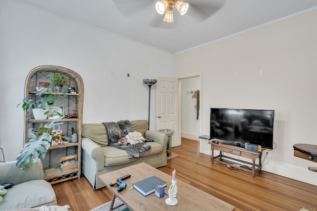 33 Shannon St 1
