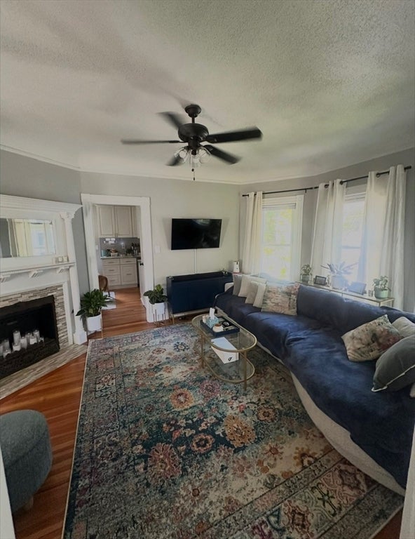 81 Clare Ave 1
