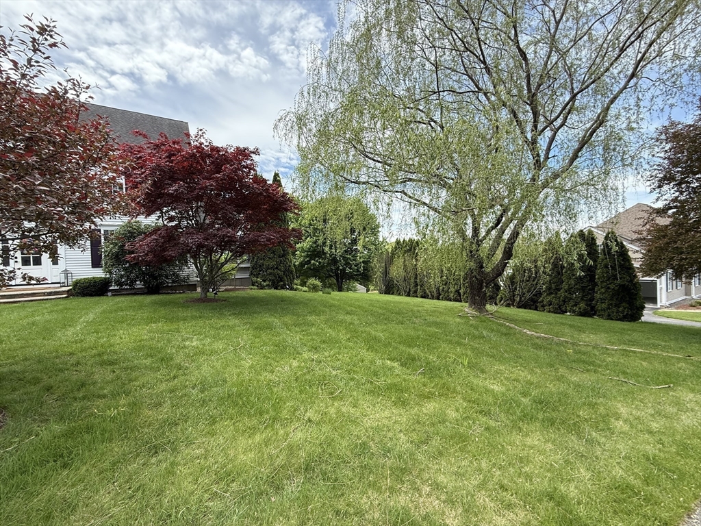 5 Cortland Dr