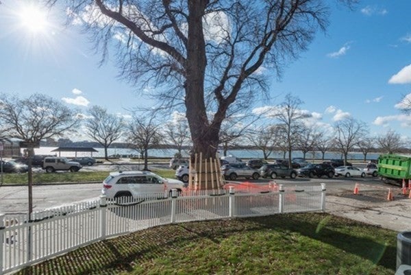 415 K Street #1, Boston, MA, 415 K Street #1, Boston, MA Photo #36