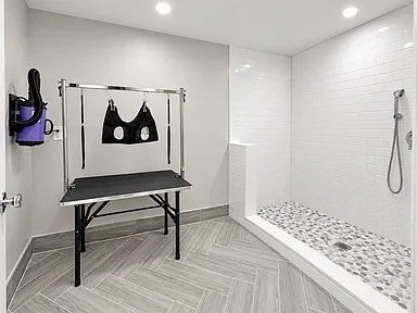 804 E 7th Street #203, Boston, MA Photo #18