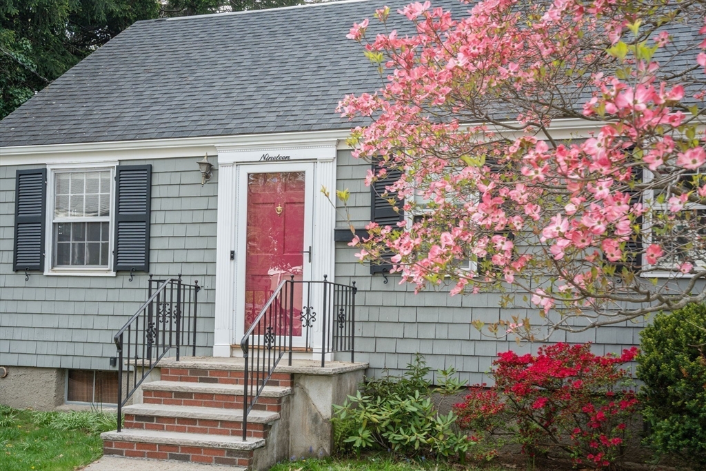19 New Haven Street, Boston, MA Photo #26