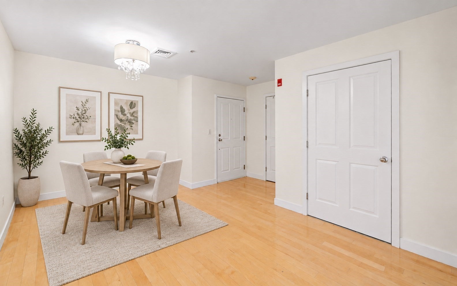 30 Franklin St #312, Malden, MA, 30 Franklin St #312, Malden, MA Photo #7