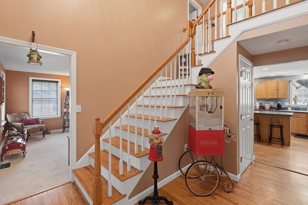 7 Nelson Rd