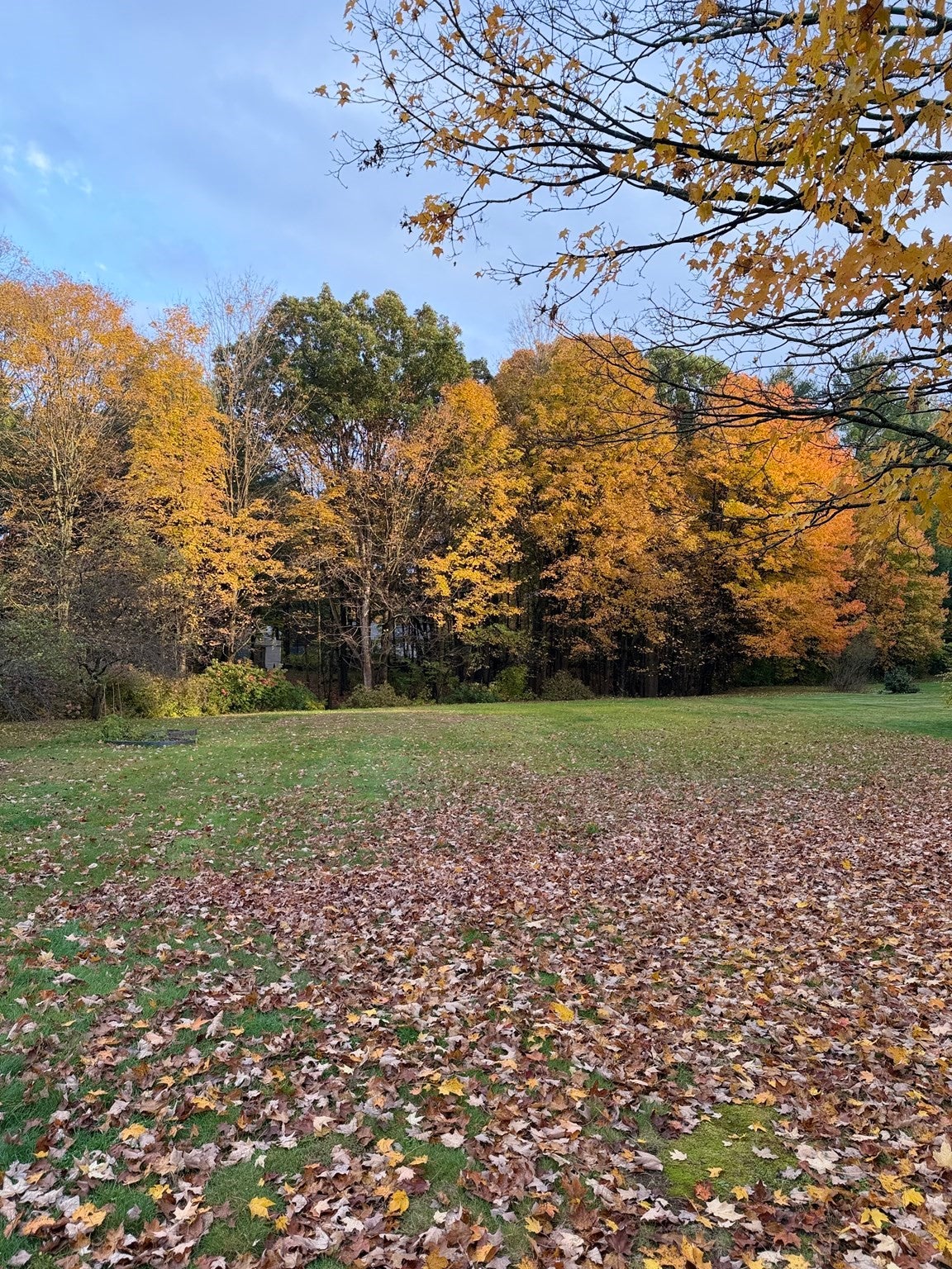 110 Pomeroy Meadow Rd, Southampton, MA Photo #3