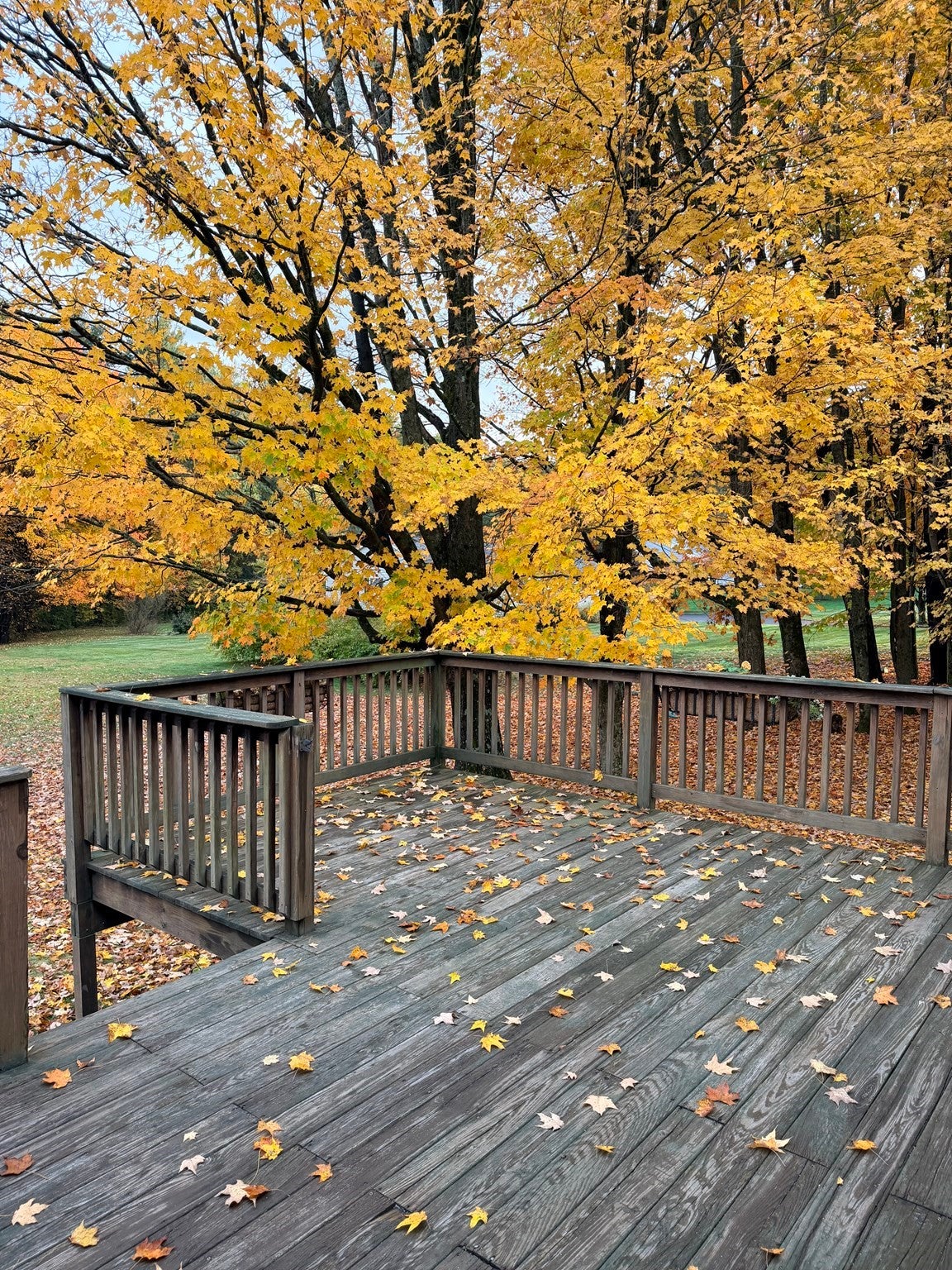110 Pomeroy Meadow Rd, Southampton, MA Photo #5
