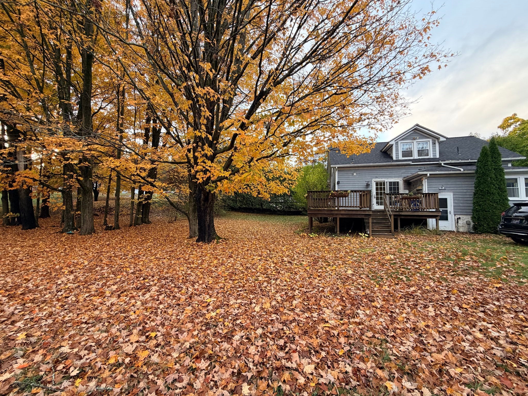 110 Pomeroy Meadow Rd, Southampton, MA Photo #4
