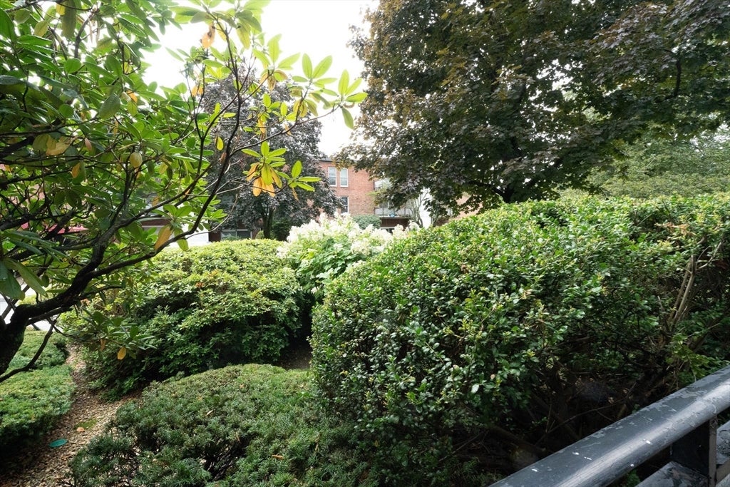 44 Broadlawn Park #20, Boston, MA, 44 Broadlawn Park #20, Boston, MA Photo #17