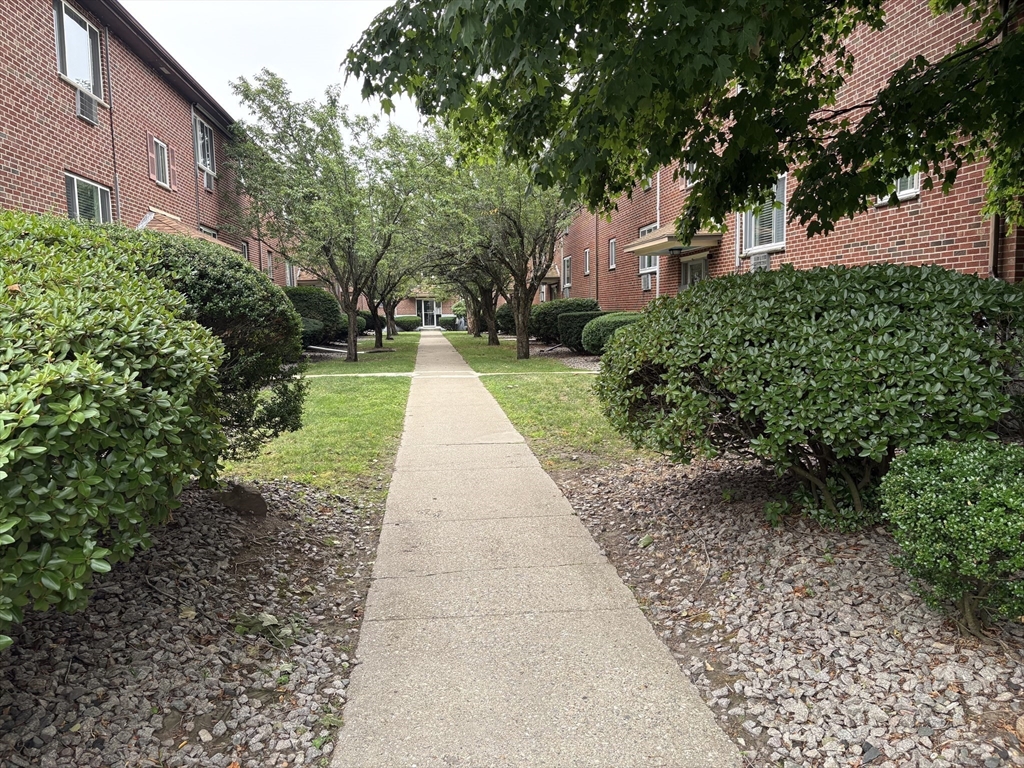 50 Bryon Road 4