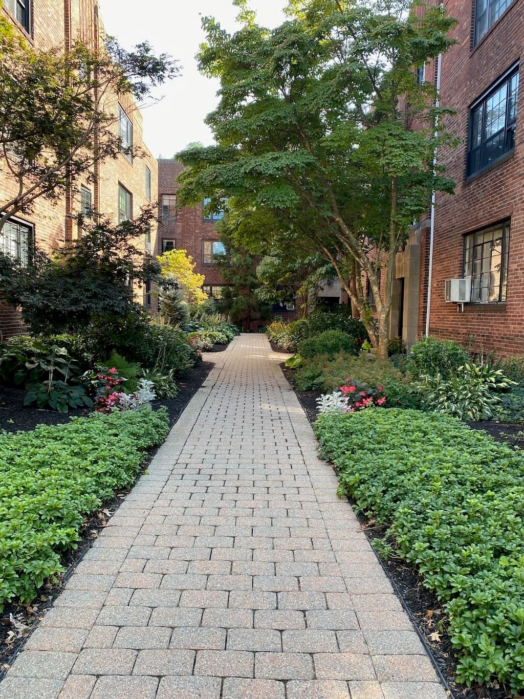 94 Marion Street #1, Brookline, MA, 94 Marion Street #1, Brookline, MA Photo #15