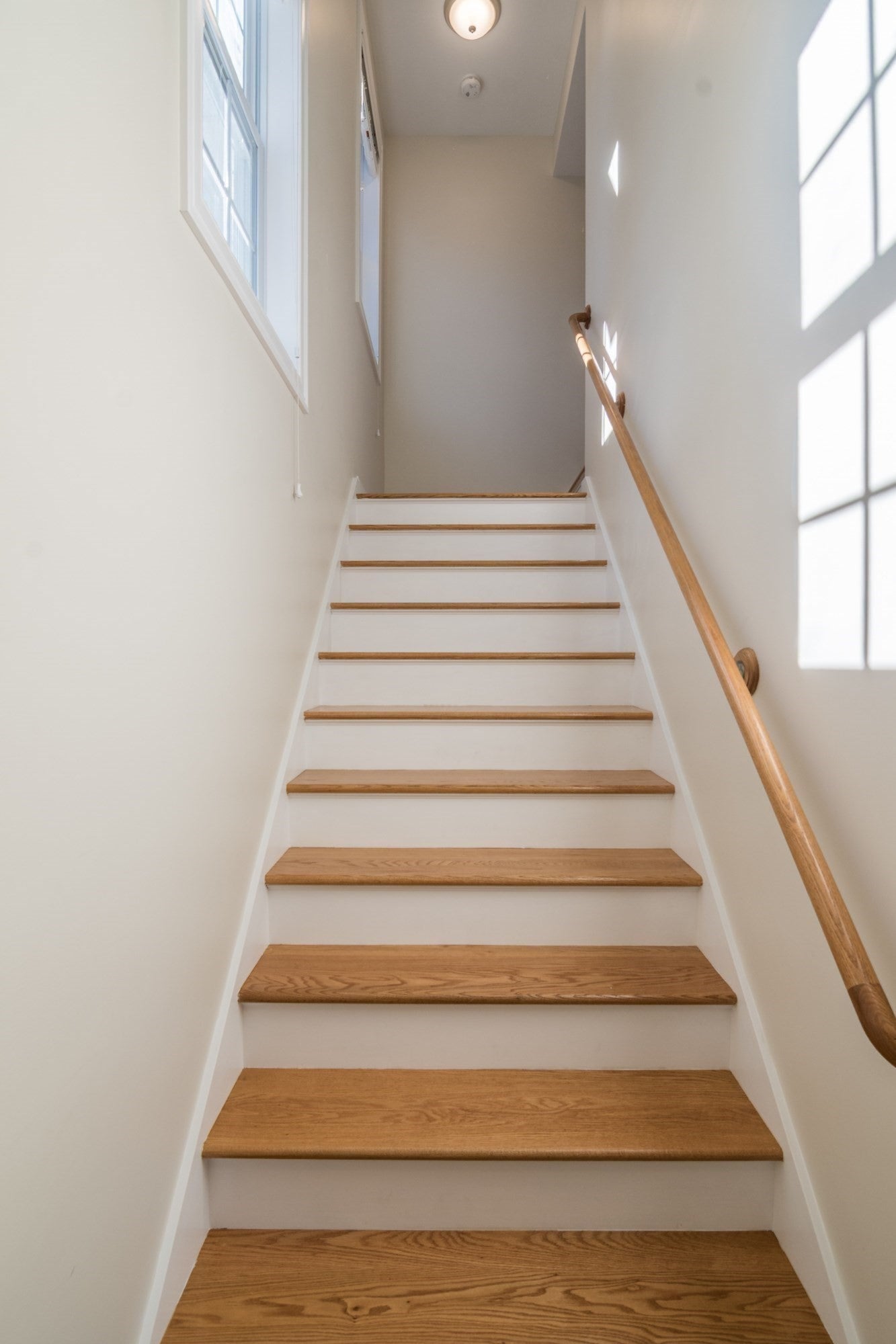 9 Pomeroy Terrace 2