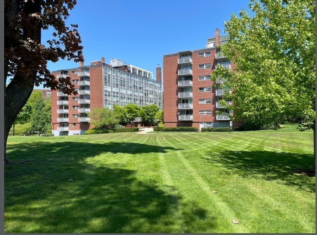 80 Park St #75, Brookline, MA Photo #2