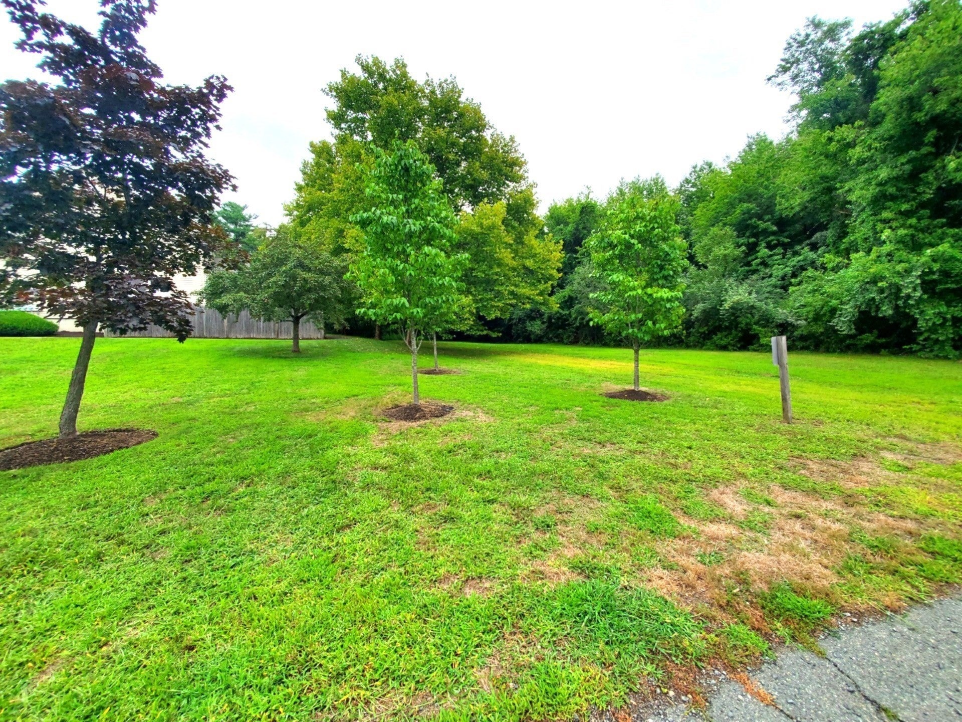 28 Douglas Drive 28