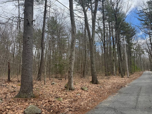 3 MURPHY RD, BARRE, MA 01005 - Image 2cd6210a8d4f2fd3cdd2a9cff0457668/3967739376