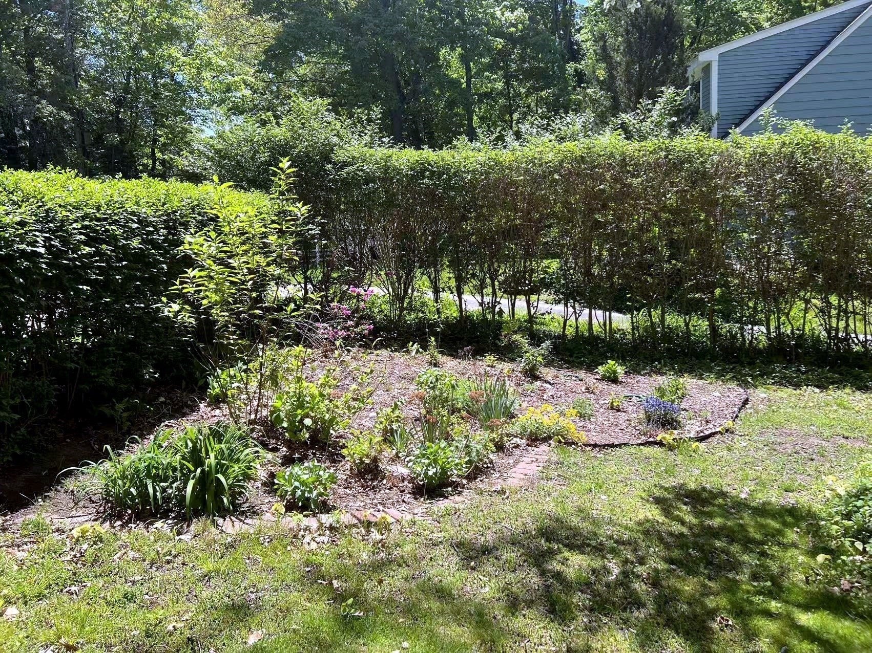 7 Springdale Ave, Wellesley, MA, 7 Springdale Ave, Wellesley, MA Photo #23