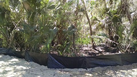 224 Mansion DeBary FL 32713