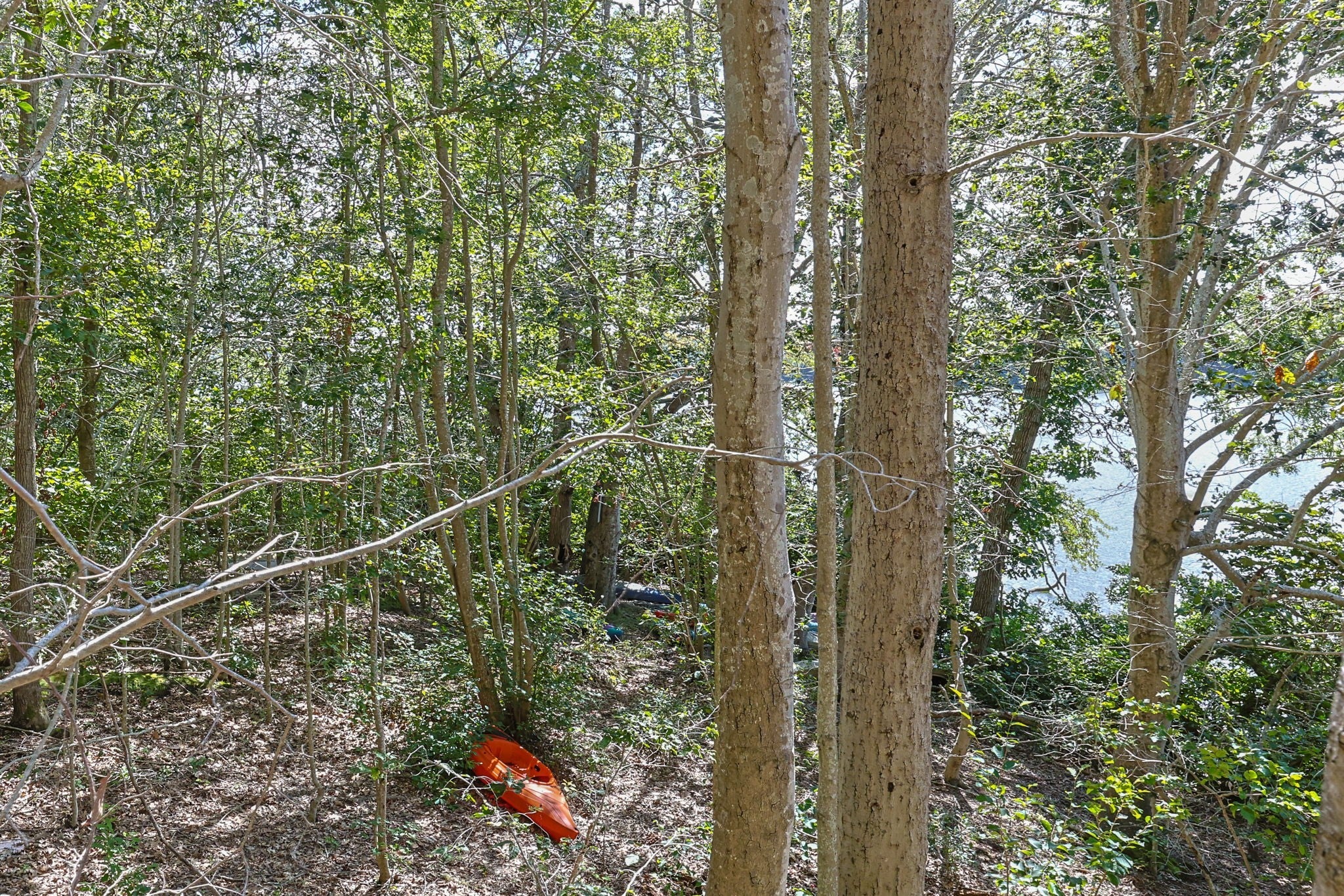 35 Santuit Pond Way #13A, Mashpee, MA, 35 Santuit Pond Way #13A, Mashpee, MA Photo #37
