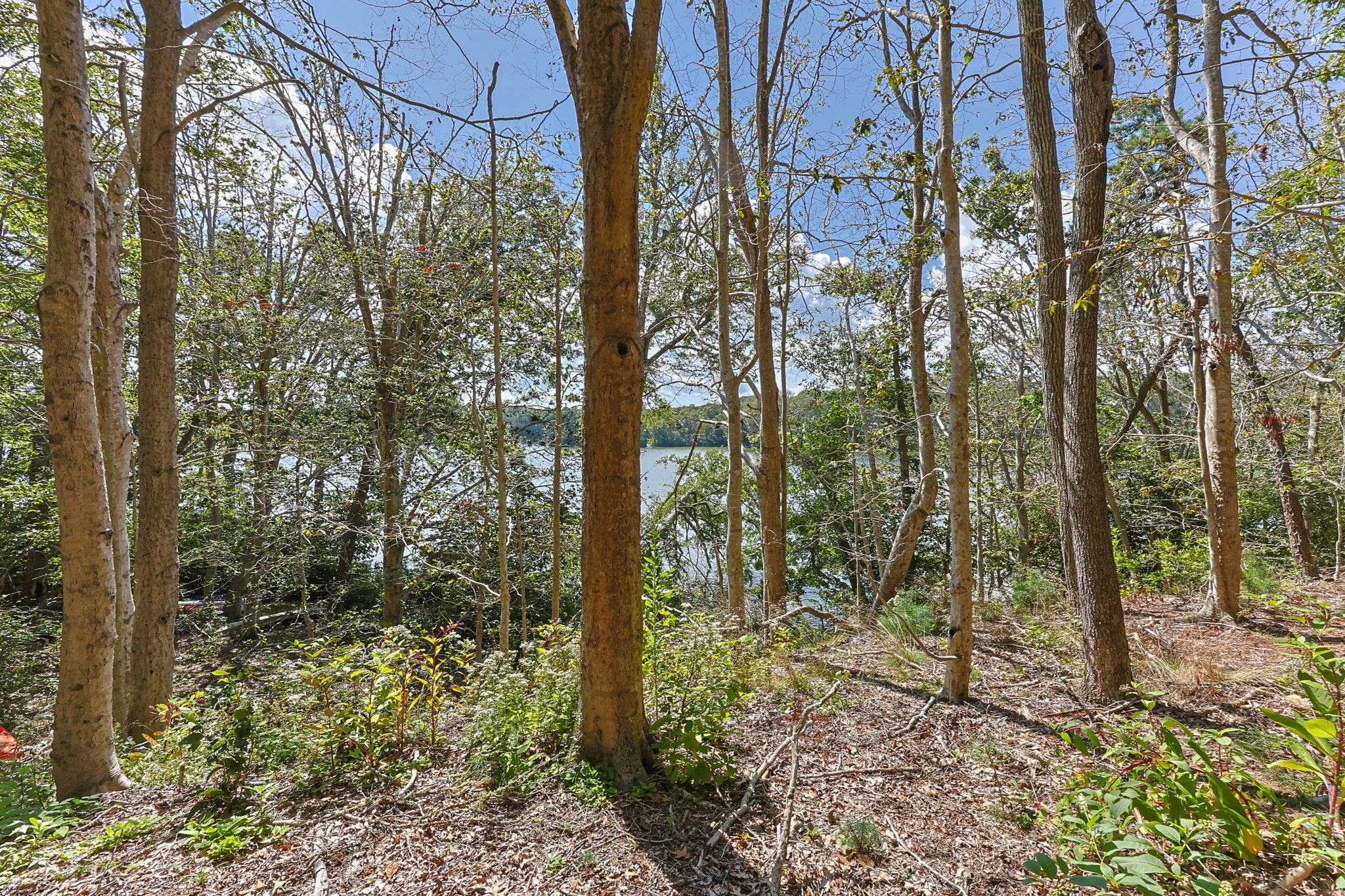 35 Santuit Pond Way #13A, Mashpee, MA, 35 Santuit Pond Way #13A, Mashpee, MA Photo #35