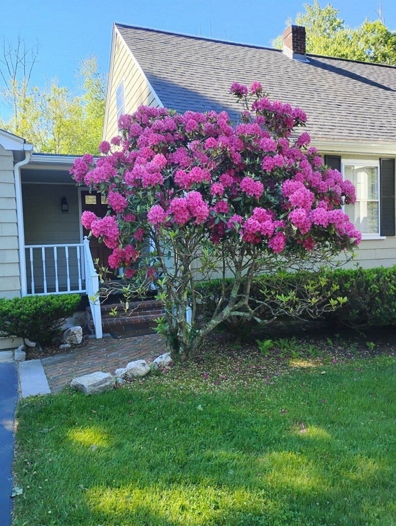 924 Washington St, Franklin, MA Photo #39