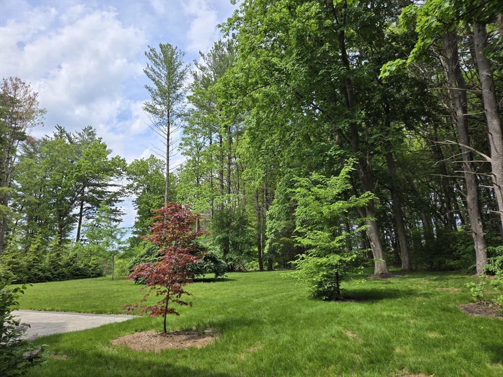 135 Williams Rd